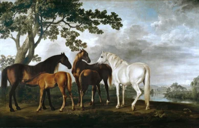 Mares and Foals in a River Landscape